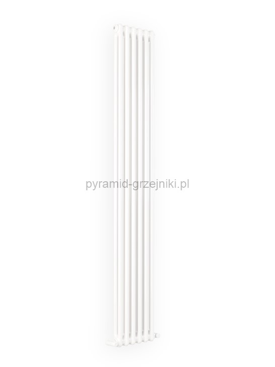 Grzejnik pionowy dekoracyjny ARDESIA - 1800/276 mm dwukolumnowy 